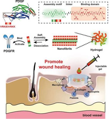  Oligopeptide 하이드로젤: 상처 치유의 미래를 위한 자기 조립형 바이오 소재