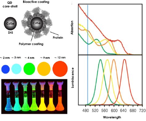  Yellow Phosphorus Quantum Dots: 그 빛나는 미래를 위한 나노재료는 무엇일까요?